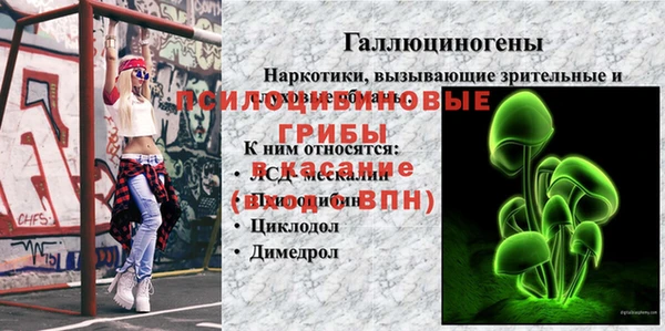 экстази Абаза