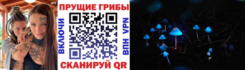 Псилоцибиновые грибы Psilocybine cubensis  блэк спрут tor  Сыктывкар 