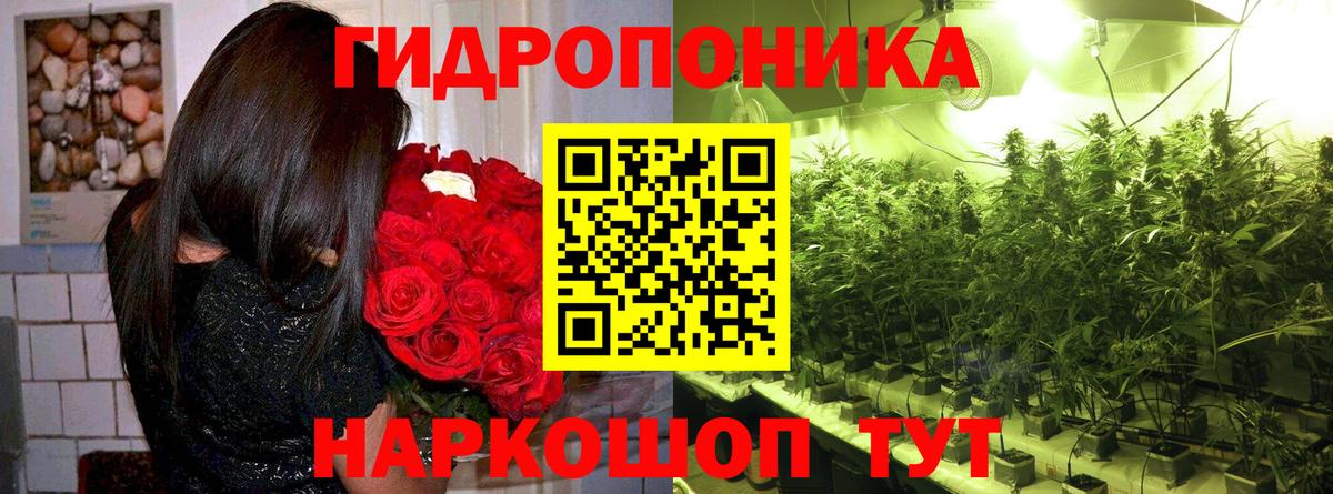 Канабис гибрид  Вход с VPN  Марихуана Amnesia  Конопля White Widow  Сыктывкар 