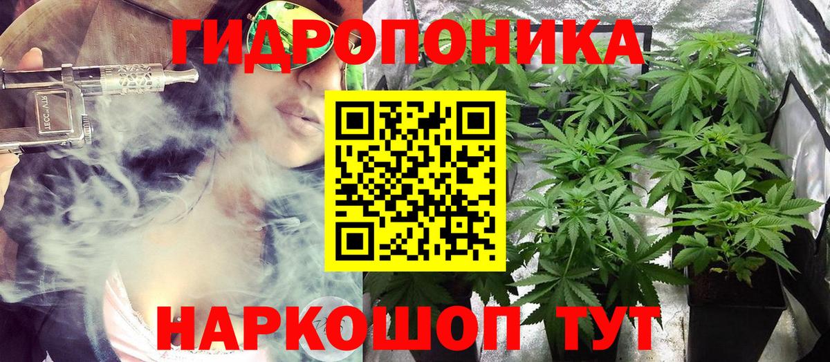 Конопля марихуана Сыктывкар